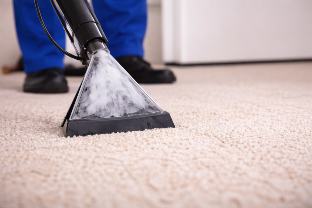 Services carpet cleaning